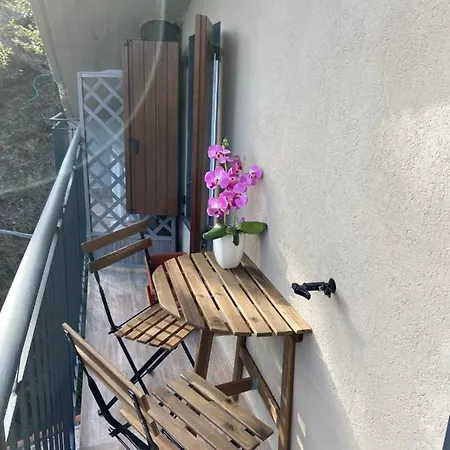 酒店 Il Colle Di Monterosso 蒙特罗索阿尔马雷